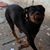 Kerlyn Jose's profile image