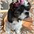 Lori Kelly's profile image