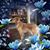 Janie Hodgson Doremus's profile image