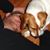 John Rice's profile image