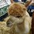 Steve Fortin's profile image