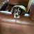 Barbara Bochek Troy's profile image