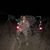Christopher Leigh's profile image