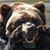 Joel N. Heuring's profile image