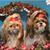Diane Berry's profile image