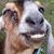 Keith Toby's profile image