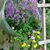 Marsha Mansker Heim's profile image