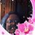 Leslyn Lloyd's profile image