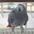 Michael Fitzpatrick's profile image