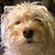 Carol Franck Ivey's profile image