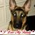Angie Sztuba's profile image