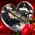 Richard Marose's profile image