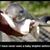 Camille Mandel's profile image