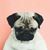 Byroom Stylinson's profile image