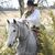 Christa Caho-Smith's profile image