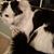 Marcia Moffett's profile image