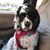 Lynn Meloni's profile image