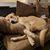 Kristina Flasch Bailey's profile image
