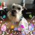 Suzette Medina's profile image