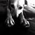 Lacie Fields's profile image