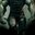 Michael Salas's profile image