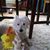 Phylliss Ward's profile image