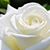 Blanca Gonzalez Ortiz's profile image