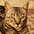 Maureen Harrod's profile image