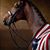 Becky Deini's profile image