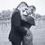 Ashley Renae Mayberry's profile image