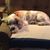 Ruth Herrington's profile image