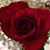 Cindy Cierlak's profile image