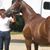 Bjorg Walstrom Guasti's profile image