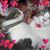 Dorothy Bond's profile image