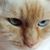 Sherry Rae's profile image