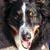 Rich Anson's profile image