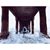 Christopher T. Taylor's profile image