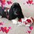 Susan Nerlich's profile image