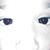 Brian Lewis's profile image