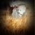 Tiffany LeAnn's profile image