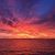 Jackie Martin Warren's profile image