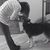 Deb Maass's profile image