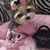Debbie Mitchell's profile image