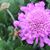 Jeanette Fenske Kelly's profile image