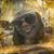 G'Nell Langford's profile image
