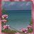 Anne Petzold's profile image