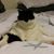 Rosie McButterball's profile image