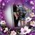 Ariel Cunningham's profile image