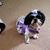 Judy Hirsch's profile image