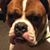 John Jackson's profile image